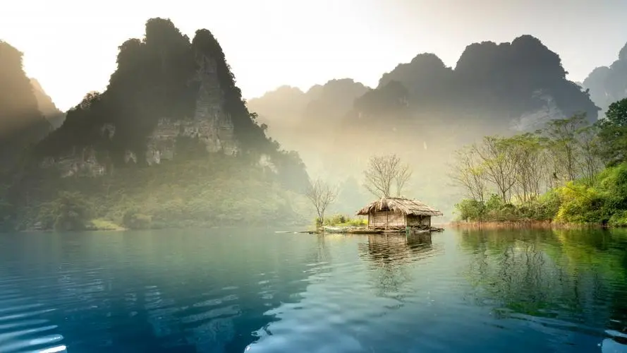 高效环保独特